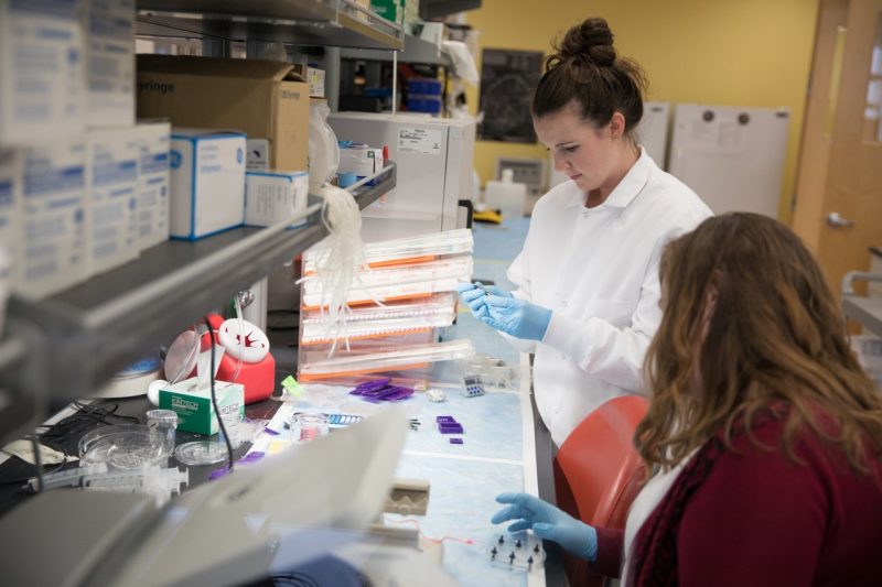 Two women work in a lab
