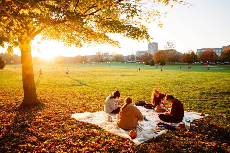 Fall on the drillfield - students having a picnic decorating pumpkins