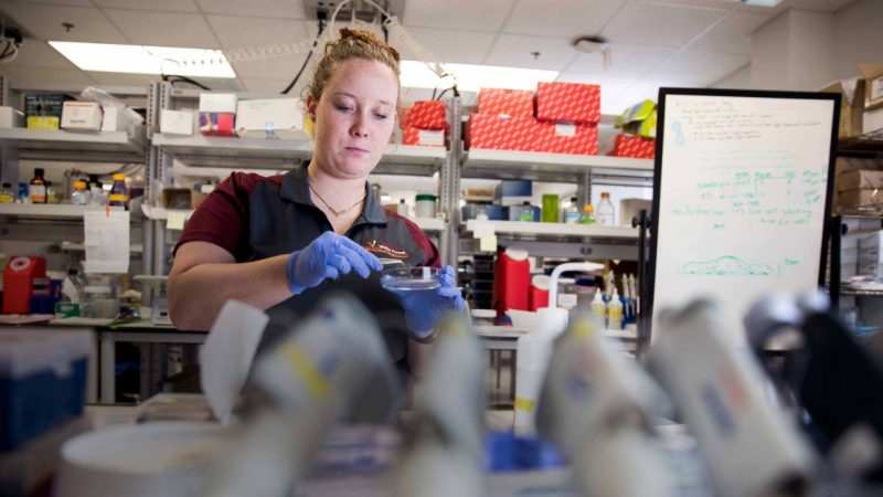 Alexandra Hyler working in a lab.
