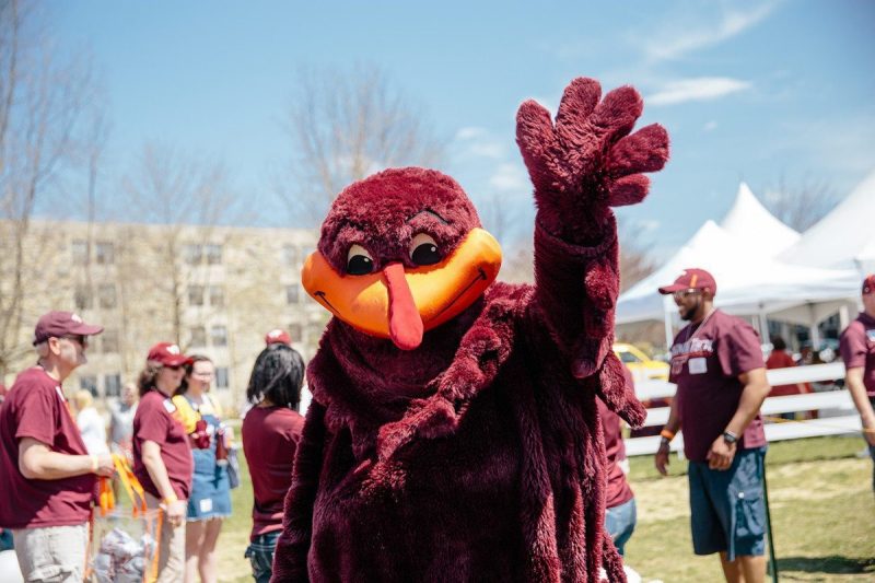 HokieBird