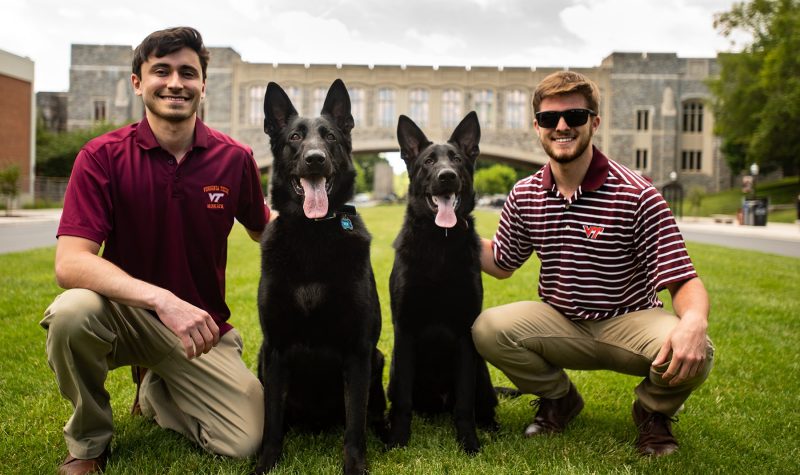 Former VT roommates go to the dogs