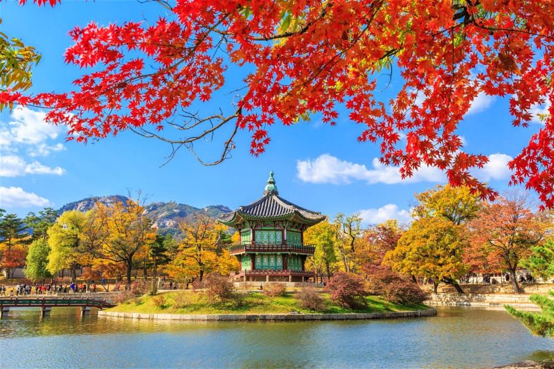 International business minor – Korea Track