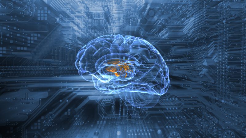 AI/ML Education: A Business Necessity — A Career Advantage