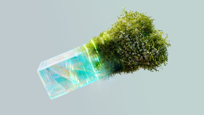 The Role of AI and IoB in Sustainable Cities: Optimizing Resource Utilization and Environmental Impact
